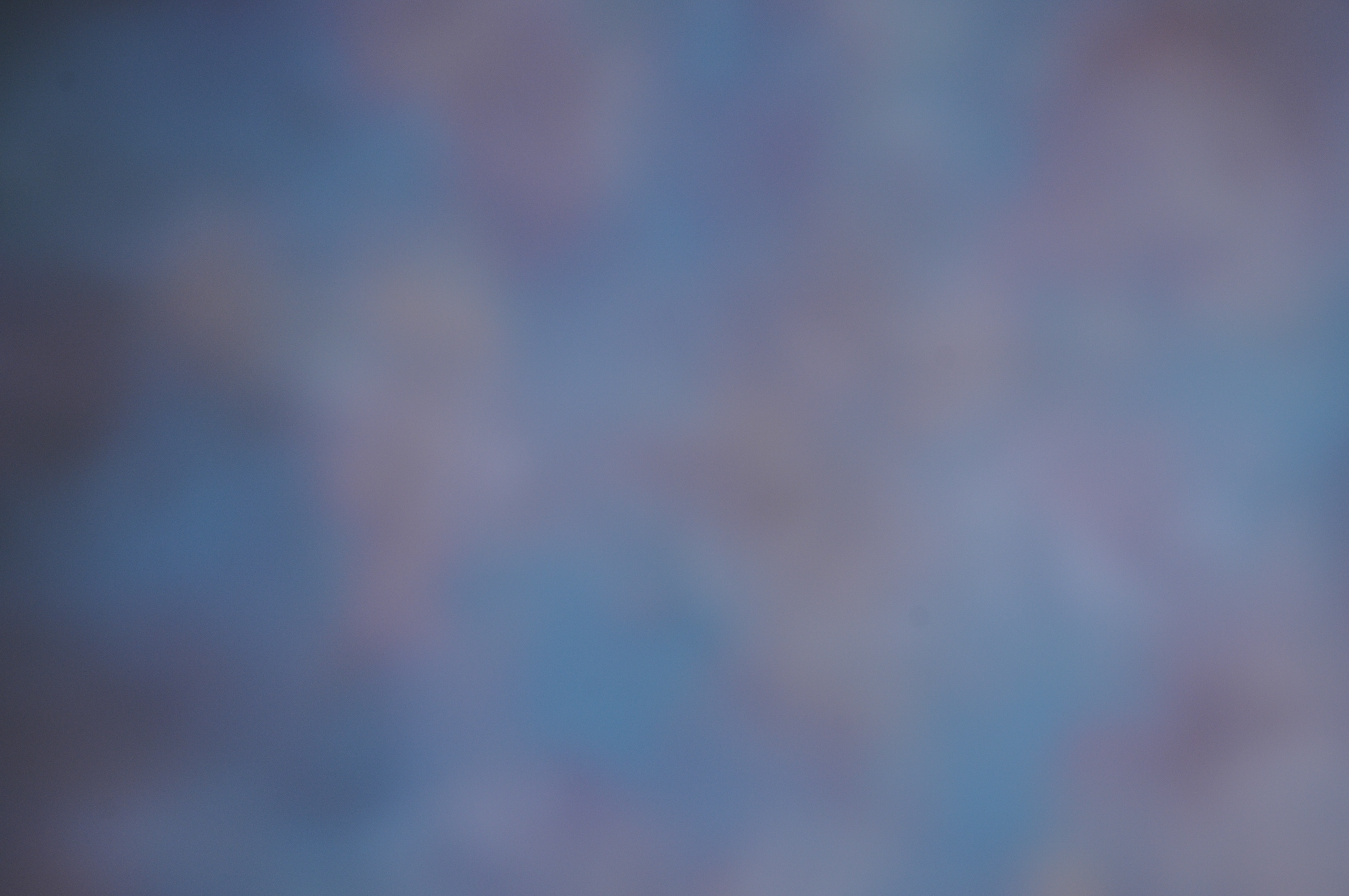 Photo of Madi Sobotka